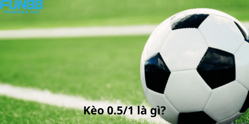 Kèo 0.5/1 là gì?